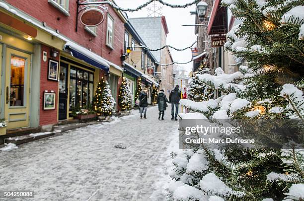 人のプチシャンプラン通りのケベック市 - canada christmas ストックフォトと画像