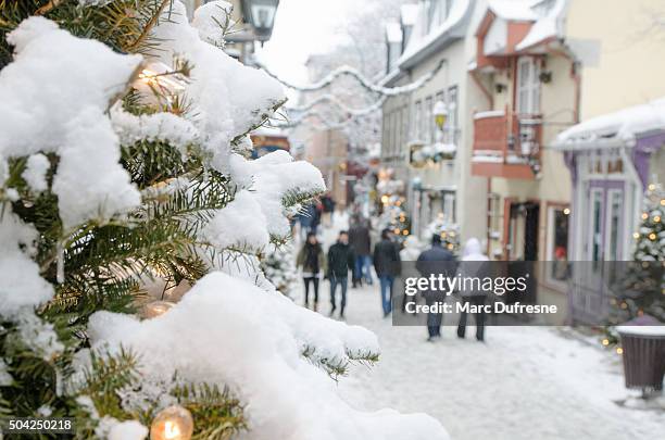 people on the petit champlain street in quebec city - quebec icy trail stock pictures, royalty-free photos & images