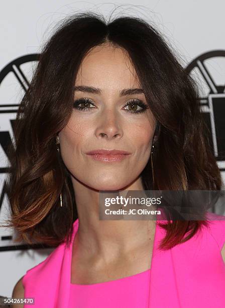 Actress Abigail Spencer attends The 40th Annual Los Angeles Film Critics Association Awards at InterContinental Hotel on January 9, 2016 in Century...