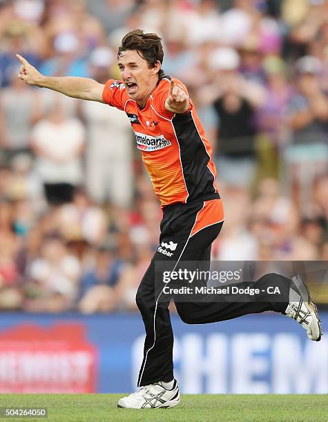 Brad Hogg of the Scorchers celebrates the wicket of Dan Christian of the Hurricanes during the Big Bash League match between the Hobart Hurricanes...