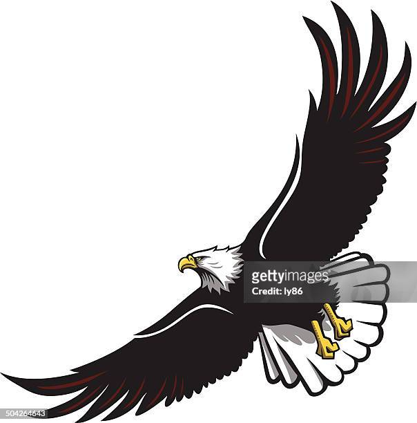 eagle hoch - bald eagle stock-grafiken, -clipart, -cartoons und -symbole