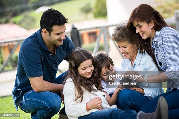 family with bunnies - family rabbit stock pictures, royalty-free photos & images