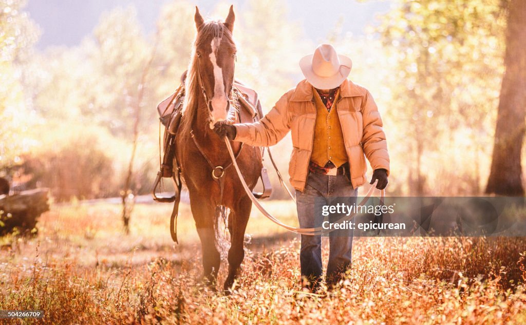 Cowboy walks  with head down guiding horse through golden field