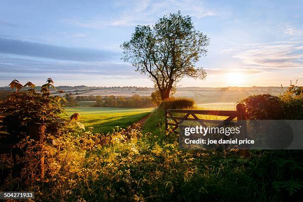 sunrise, broadway, cotswolds, england - コッツウォルズ ストックフォトと画像