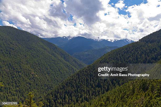 alpine landscape at olympic national park - mount-olympus-olympic-national-park stock pictures, royalty-free photos & images