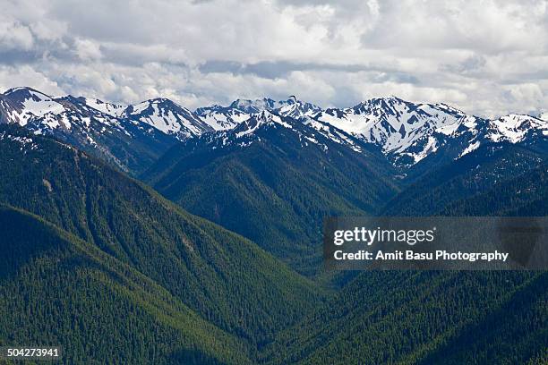 snow clad mount olympus, washington - mount-olympus-olympic-national-park stock pictures, royalty-free photos & images
