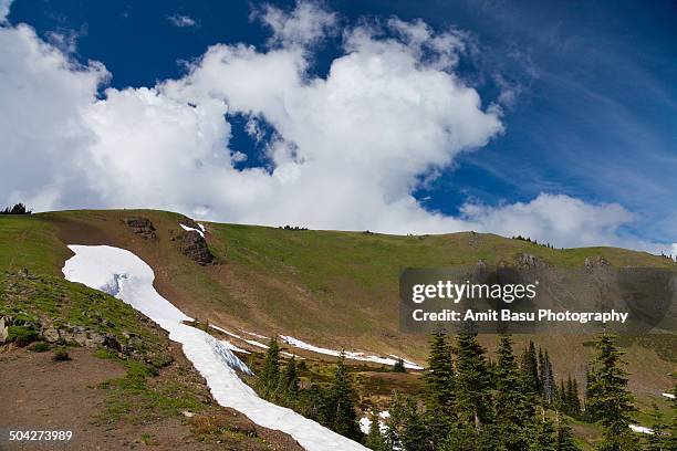 alpine landscape at olympic national park - mount-olympus-olympic-national-park stock pictures, royalty-free photos & images