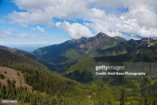 alpine landscape at olympic national park - mount-olympus-olympic-national-park stock pictures, royalty-free photos & images