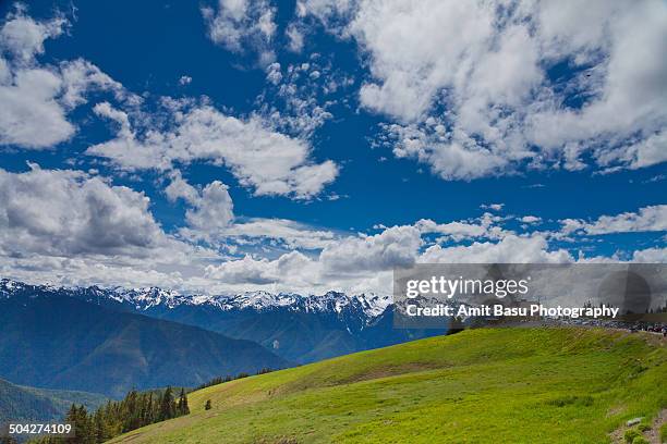 alpine landscape at olympic national park - mount-olympus-olympic-national-park stock pictures, royalty-free photos & images