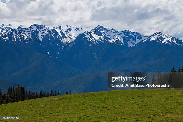 alpine landscape at olympic national park - mount-olympus-olympic-national-park stock pictures, royalty-free photos & images