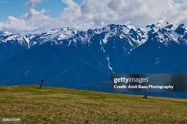 hiker against mount olympus, washington - mount-olympus-olympic-national-park stock pictures, royalty-free photos & images
