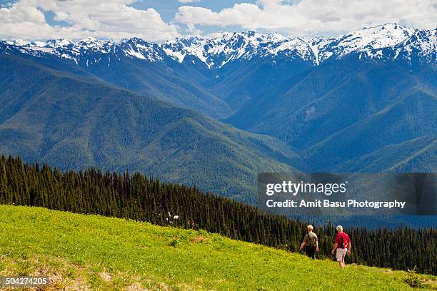hiker against mount olympus, washington - mount-olympus-olympic-national-park stock pictures, royalty-free photos & images