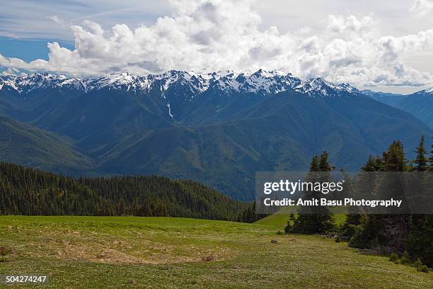 alpine landscape against mount olympus, washington - mount-olympus-olympic-national-park stock pictures, royalty-free photos & images