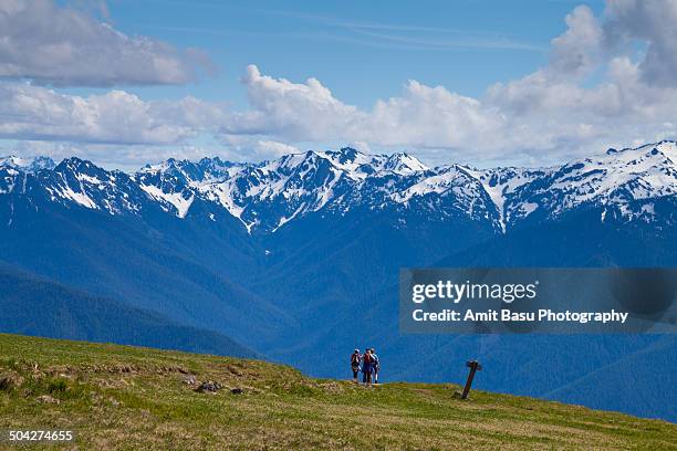 hiker against mount olympus, washington - mount-olympus-olympic-national-park stock pictures, royalty-free photos & images