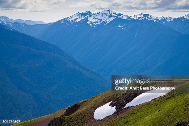 alpine landscape against mount olympus, washington - mount-olympus-olympic-national-park stock pictures, royalty-free photos & images