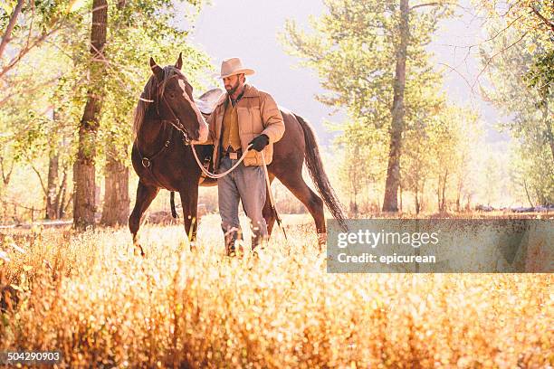 man walks and guides horse through beautiful sunlit field - missoula stock pictures, royalty-free photos & images