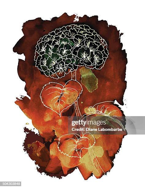 hand painted watercolor hydrangea plant - hydrangea stock illustrations