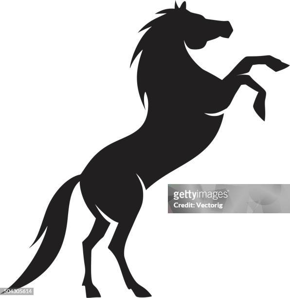 arabische pferd-silhouette - auf den hinterbeinen stock-grafiken, -clipart, -cartoons und -symbole