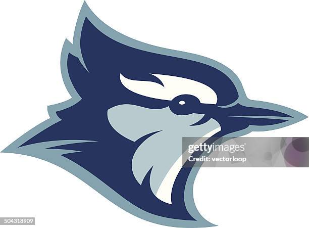 blue jay head - blue jays stock illustrations