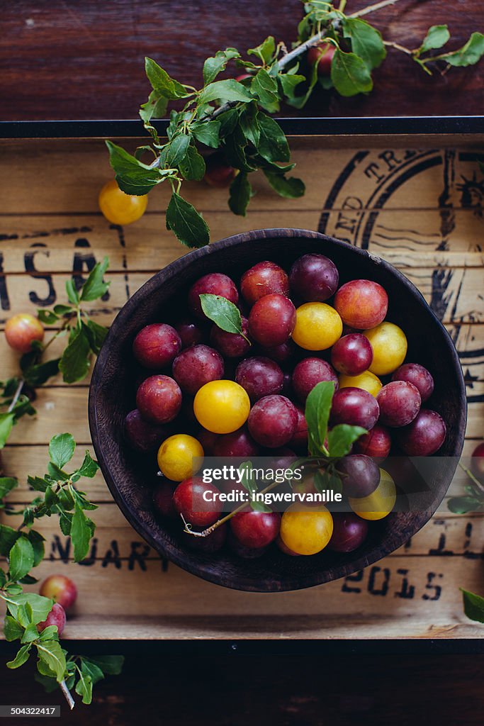 Red and yellow plums