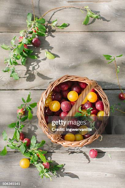 plums in a basket - mirabelle plum stock pictures, royalty-free photos & images