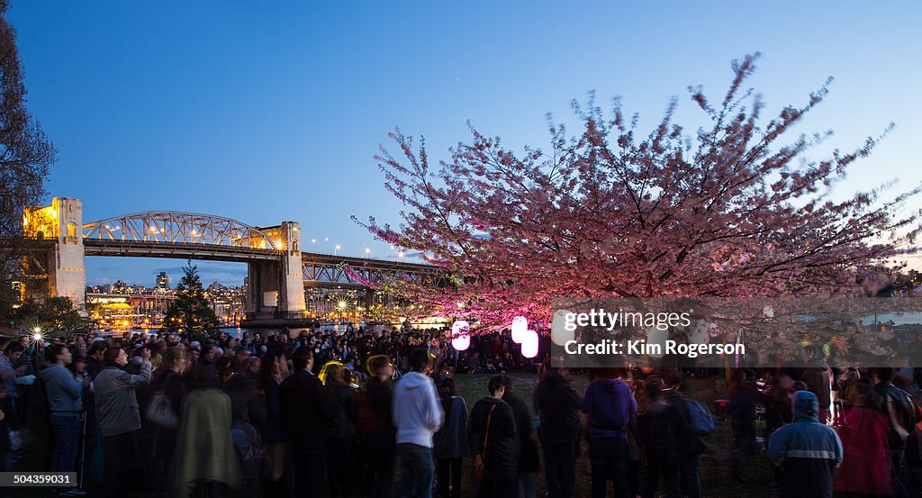 Cherry Blossom Festival in English Bay, Vancouver