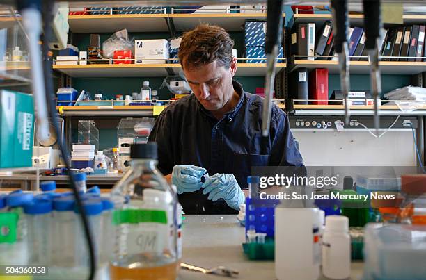 Matthew Porteus professor of pediatrics at Stanford School of Medicine, pipettes DNA to use for gene editing of stem cells at Lokey Stem Cell lab at...