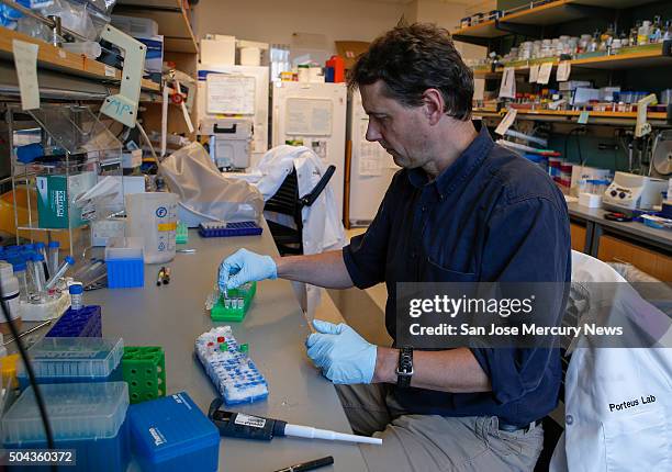 Matthew Porteus professor of pediatrics at Stanford School of Medicine, pipettes DNA to use for gene editing of stem cells at Lokey Stem Cell lab at...
