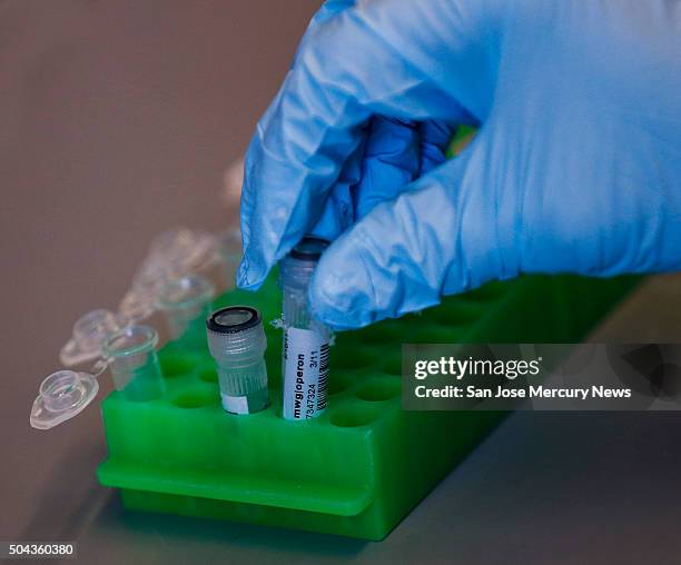 Matthew Porteus professor of pediatrics at Stanford School of Medicine, holds test tubes of DNA to use for gene editing of stem cells at Lokey Stem...
