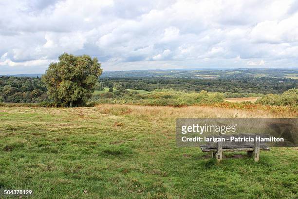bench with a view, ashdown forest - east sussex imagens e fotografias de stock