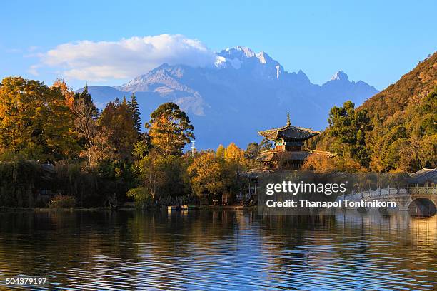 black dragon pool park with temple and bridge - black dragon pool park stockfoto's en -beelden