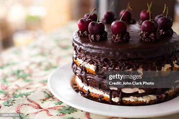 black forest cake - chocolate mousse stock pictures, royalty-free photos & images