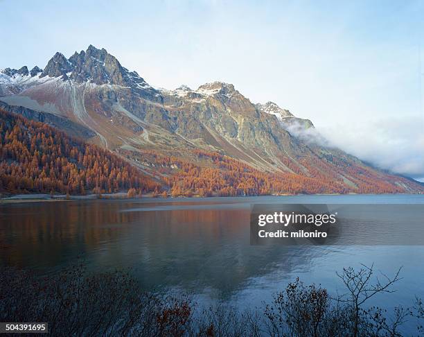 silsersee (lake sils) - miloniro 個照片及圖片檔