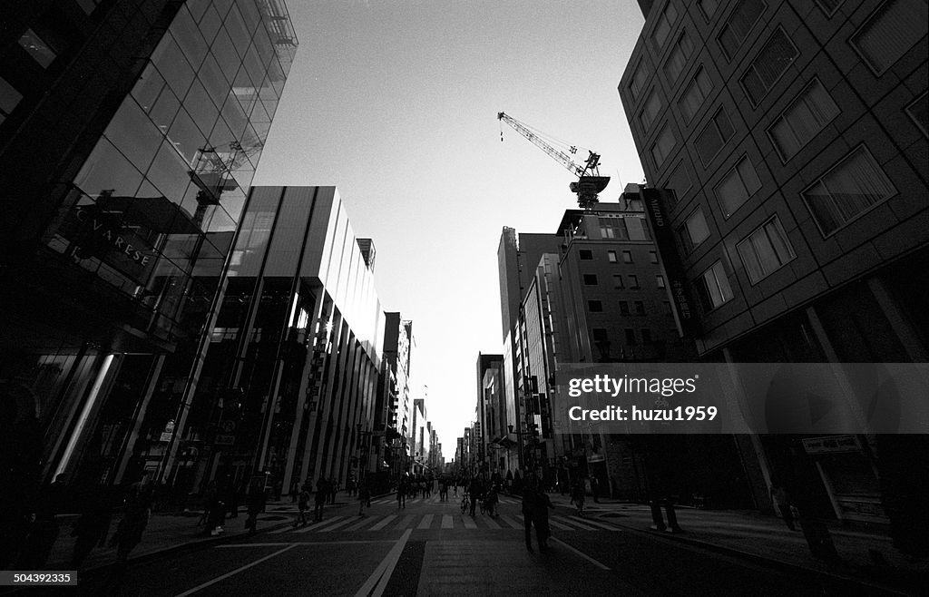 Many shadows in the street