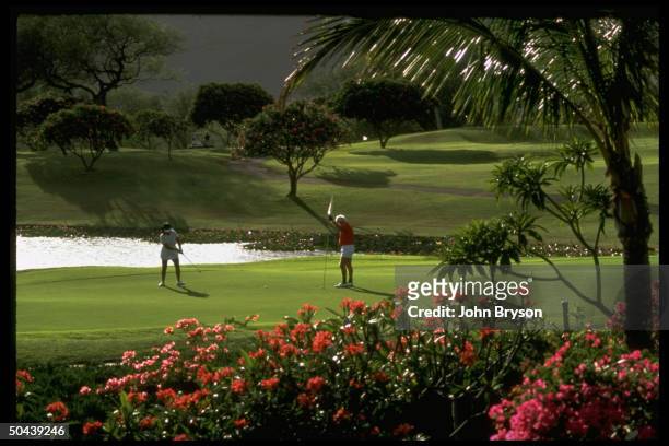 Couple golfing on course at Sheraton/Makaha.