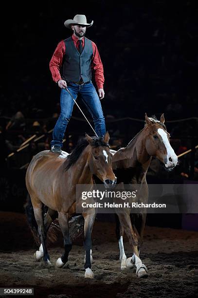103 Bull Riding Charro Style Stock Photos, High-Res Pictures, and ...