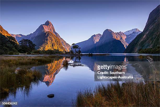the majestic view of milford sound in the fiordland national park, south island, new zealand. - fjord milford sound stock-fotos und bilder