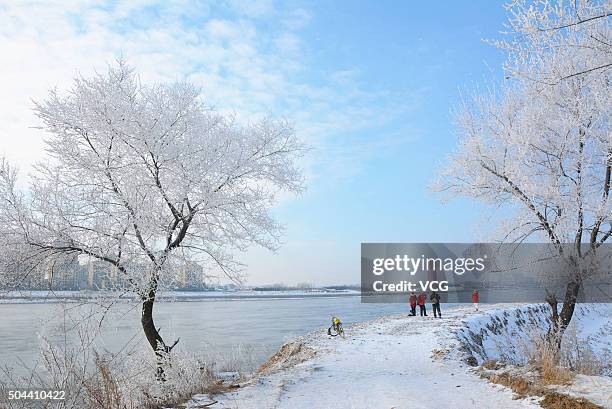 Tourists come to look at the rime scenery on an island along the Songhua River on January 10, 2016 in Jilin City, Jilin Province of China. The first...