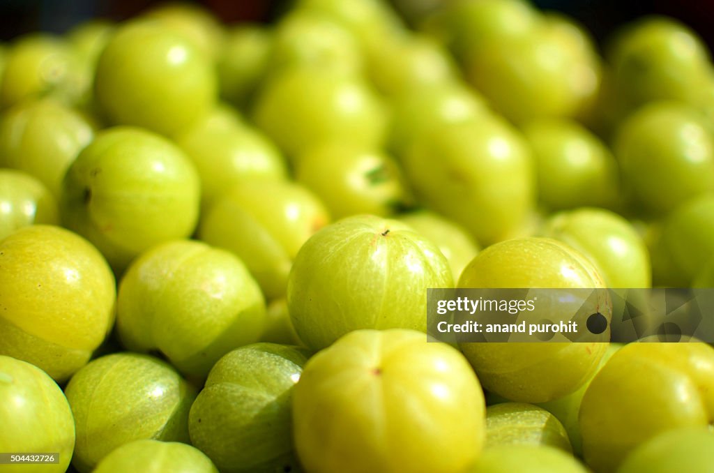 Indian Gooseberry, Amla (Emblica Officinalis Loca) Herbal Medicinal Fruit, India.