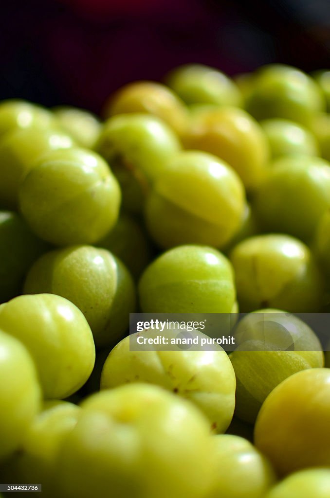 Indian Gooseberry, Amla (Emblica Officinalis Loca) Herbal Medicinal Fruit, India.