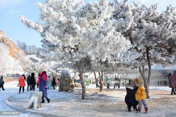 Tourists come to look at the rime scenery on an island along the Songhua River on January 10, 2016 in Jilin City, Jilin Province of China. The first...