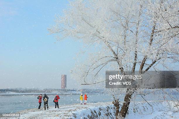 Tourists come to look at the rime scenery on an island along the Songhua River on January 10, 2016 in Jilin City, Jilin Province of China. The first...