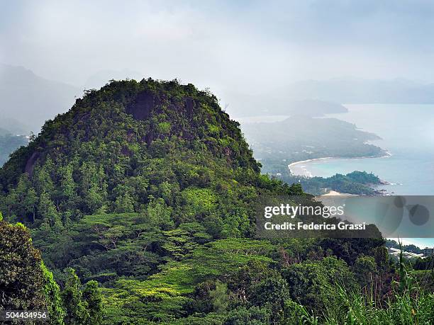 view of the mahe island coastline - victoria seychelles fotografías e imágenes de stock