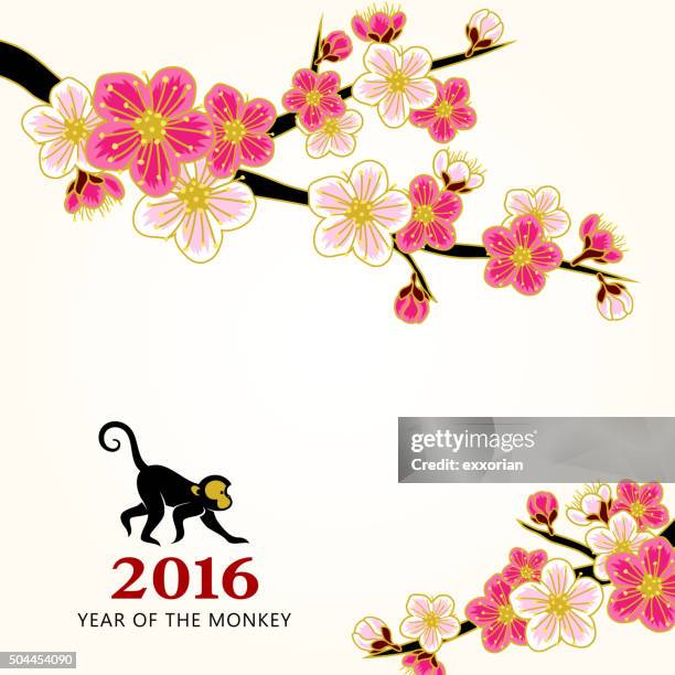 illustrazioni stock, clip art, cartoni animati e icone di tendenza di capodanno cinese fiori di pesco - fiore di pesco