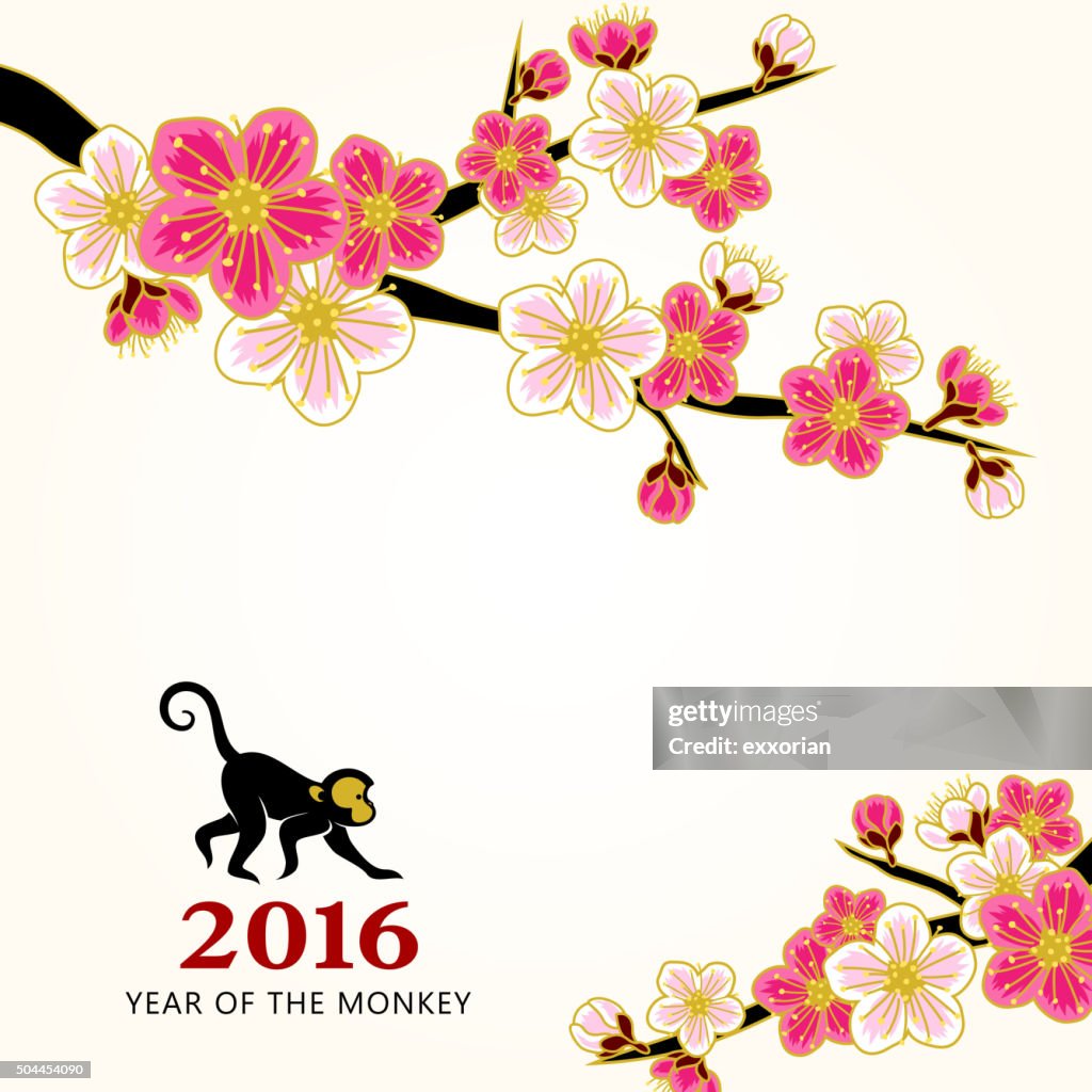 Chinese new year peach flowers
