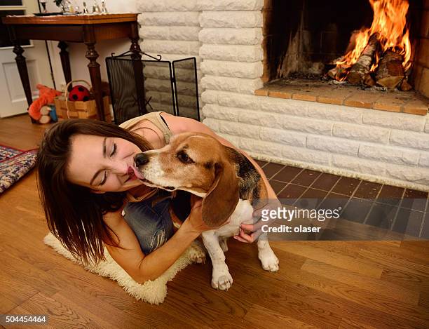 young woman playing with beagle dog, fireplace - dog licking girls stock pictures, royalty-free photos & images
