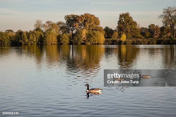 dinton pastures - berkshire stock pictures, royalty-free photos & images
