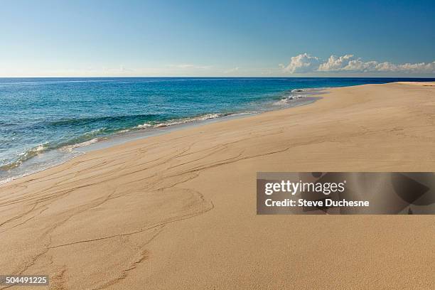 beach of sandy point - san salvador stock pictures, royalty-free photos & images