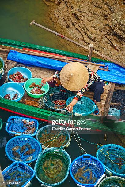 ha long bay fishing - halong bay stockfoto's en -beelden