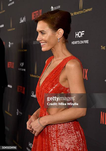 Actress Nicky Whelan attends The Weinstein Company and Netflix Golden Globe Party, presented with DeLeon Tequila, Laura Mercier, Lindt Chocolate,...